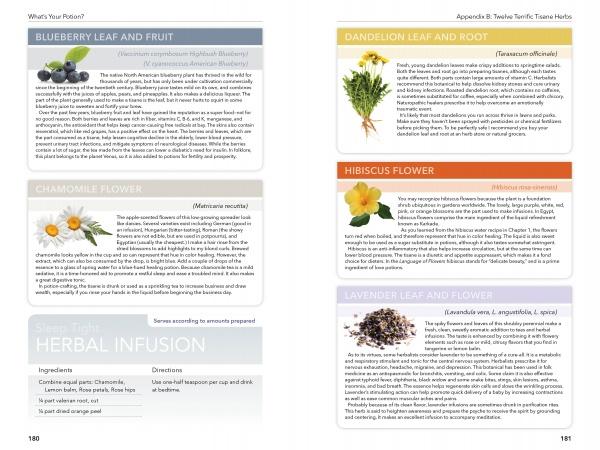 A two-page spread in What's Your Potion? by Schiffer Publishing, Ltd. details the edible and medicinal uses of blueberry, chamomile, dandelion, hibiscus, and lavender with photos and tips for mindful, spirit-lifting beverages.