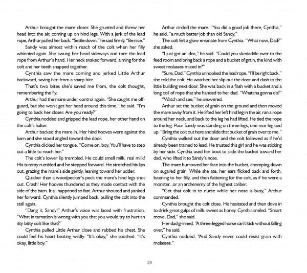Page 20 of "The True Story of Miracle Man" by Schiffer Publishing, Ltd. features two columns of text with Arthur, Cynthia, Little Arthur, a Chincoteague Pony, and an orphaned foal on Assateague Island.