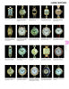 Rolex - Ladie's Watches