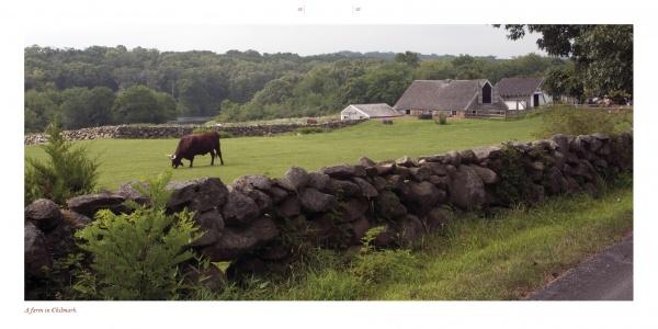 A brown cow grazes in a green field beside a stone wall, evoking classic "Martha's Vineyard" scenes from Schiffer Publishing, Ltd., with barns and trees in the background beneath a cloudy sky.