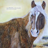 Chincoteague Ponies by Schiffer Publishing, Ltd. features a painting of a brown pony with a white mane and stripe, standing in a field with yellow-green tones inspired by Assateague Island. Includes visible text and a small signature.