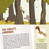 Discover “The Forest” by Schiffer Publishing, Ltd.—an illustrated guide featuring woodland animals like squirrels, birds, insects, and a pig among leaves. Includes text on each animal’s role in the ecosystem; ideal for forest books or fold-out posters.