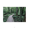 Maryland Landscapes by Schiffer Publishing, Ltd. captures tranquil scenes of wooden boardwalks winding through lush forests—perfect for Maryland photography enthusiasts seeking inspiring natural beauty.