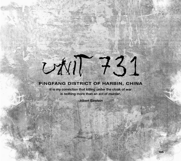 An artistic, grungy background evokes horror with the text “Grim Shadows Falling” from Schiffer Publishing, Ltd. Below, an Albert Einstein quote reads: “It is my conviction that killing under the cloak of war is nothing more than an act of murder.”.