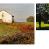 Experience the charm of Chester County with Schiffer Publishing, Ltd.—a small white barn and a yellow house with a red roof nestled among green lawns exemplify the region’s scenic, historic landscapes, perfect for photography lovers.