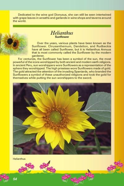 A page from "Savannah's Garden Plants" by Schiffer Publishing, Ltd. shows a bright yellow sunflower with green leaves, plus text on Helianthus history and symbolism, against a yellow-green background with pink lotus illustrations.