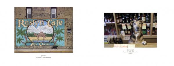 Two photos: On the left, a mural reading "Roslyn Cafe An Oasis" with camels and palms. On the right, a dog—featured in Senior Dogs Across America by Schiffer Publishing, Ltd.—smiles behind a counter in Nancy LeVine’s signature style.