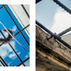 Two images from "The Cats of Cuba" by Schiffer Publishing, Ltd.: On the left, a white and black cat is seen from below against the sky; on the right, this curious feline looks down, highlighting the charm of cat photography.