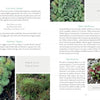 A book spread from Sempervivum by Schiffer Publishing, Ltd. shows close-up photos of succulents and conifers, with captions featuring plant names, descriptions, and expert gardening tips.