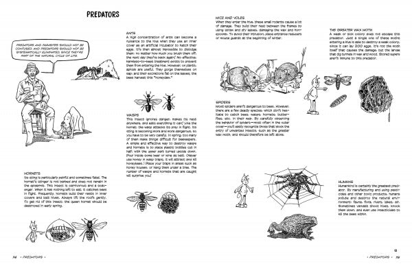 The Graphic Guide to Beekeeping by Schiffer Publishing, Ltd. is a black-and-white illustrated guide on beekeeping predators, with drawings of a seated man, wasps, ants, hornets, spiders, webs, nests, and small animals plus descriptive text.