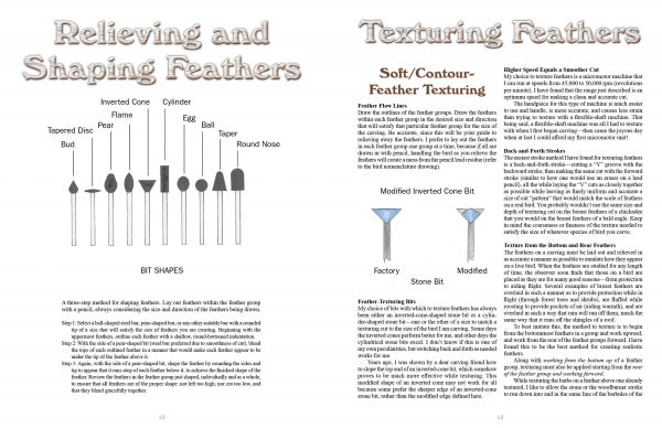 A spread from "50 Bird Woodcarving Patterns" by Schiffer Publishing, Ltd. features clear diagrams of bit shapes and labeled tips for feather texturing, presented in an educational layout with concise text and illustrations.