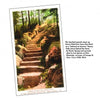 Schiffer Publishing, Ltd.'s "Greetings from Bar Harbor" postcard features 1920s-era granite steps on Emery Path near Acadia National Park—a scenic collectible for postcard enthusiasts.