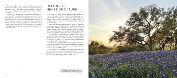 A field of bluebonnets and a large oak tree at sunset showcases the natural beauty of Texas Hill Country, featured in the book "Texas Hill Country" by Schiffer Publishing, Ltd.