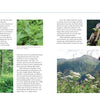 A two-page spread from Schiffer Publishing, Ltd.'s "Natural Dyeing with Plants" features text and six photos of dye plants: green foliage, wildflowers, a garden roof, and scenic mountains for natural dyeing inspiration.