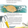 A page from "Chadwick Forever" by Schiffer Publishing, Ltd. shows a large fish and pelican conversing by the water with Chadwick the Crab and a shorebird nearby, discussing endangered species and environmental issues in illustrated dialogue.