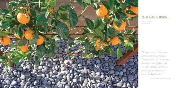 Orange trees with ripe fruit grow above smooth gray stones in a scene reflecting Northern California gardens. Sunlight casts shadows, and a gardening quote appears beside the image. Product: Regional Landscape Architecture: Northern California by Schiffer Publishing, Ltd.