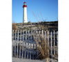 A tall white lighthouse with a red top rises above sandy dunes and beach grass, captured perfectly for Cape May Lighthouse fans—a classic scene ideal as a souvenir from Schiffer Publishing, Ltd.