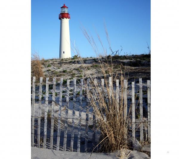 A tall white lighthouse with a red top rises above sandy dunes and beach grass, captured perfectly for Cape May Lighthouse fans—a classic scene ideal as a souvenir from Schiffer Publishing, Ltd.