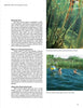 A magazine page highlights Swimming Ponds by Schiffer Publishing, Ltd., with two photos: one of underwater plants and roots, and another of children playing ball in a clear, plant-lined garden pond.