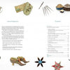 antique american needlework tools acknowledgement and contents
