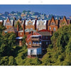 Pittsburgh by Schiffer Publishing, Ltd. captures rows of historic brick houses with peaked roofs and lush trees in hilly neighborhoods, reflecting the city's charm and cultural renaissance under a clear blue sky.