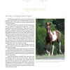 A page from "The True Story of Quintilius" by Schiffer Publishing, Ltd. displays a chapter heading, text about a Chincoteague Pony foal on Assateague Island, and a photo of a brown and white foal with a caption underneath.