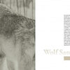 A wolf stands in a snowy forest on the left. On the right, text titled Wolf Sanctuary and Its Staff appears beside a photo of the snow-covered Speedwell Forge Wolf Sanctuary entrance sign. Brand: Schiffer Publishing, Ltd.