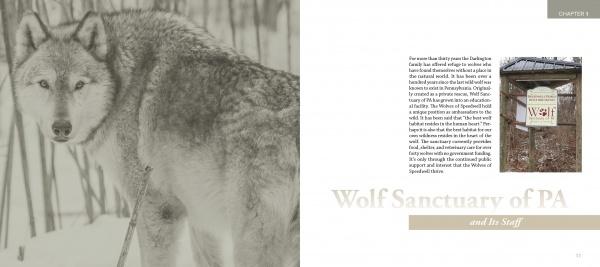 A wolf stands in a snowy forest on the left. On the right, text titled Wolf Sanctuary and Its Staff appears beside a photo of the snow-covered Speedwell Forge Wolf Sanctuary entrance sign. Brand: Schiffer Publishing, Ltd.