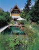 The Swimming Ponds by Schiffer Publishing, Ltd. features a natural pool with water lilies, lush plants, and greenery, a house with a balcony, two swimmers, and a person relaxing under a white umbrella by the pond.
