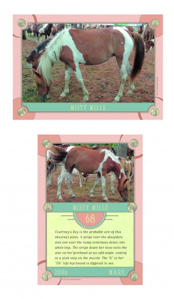 Chincoteague Pony Identification Cards by Schiffer Publishing, Ltd. feature Misty Mills, a brown and white pinto mare on Assateague Island. Each card displays her profile photo, details, and a short description of these unique ponies.