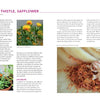 A magazine spread from *Natural Dyeing with Plants* by Schiffer Publishing, Ltd. showcases yellow wool, safflower plants and flowers, dried petals on yarn, and explains natural dye methods and results using coloring plants.