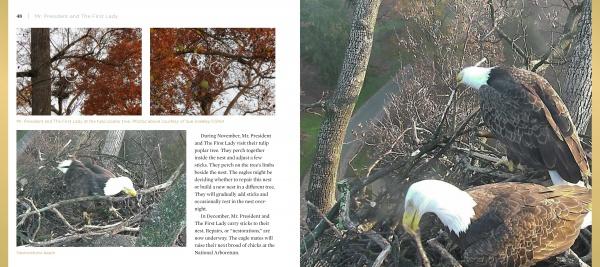 Mr. President and The First Lady by Schiffer Publishing, Ltd. features two bald eagles in a nest. One page shows a close-up among autumn leaves; the other, inspired by the DC Eagle Cam, shows the duo caring for their home.