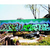 Graffiti art decorates the side of a green train car in an overgrown lot, evoking New York City’s vibrant style. "Truck Art" by Schiffer Publishing, Ltd. celebrates such bold, colorful designs, with trees and blue sky in the background.