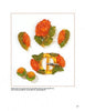 A collection of Bakelite Jewelry by Schiffer Publishing, Ltd. featuring orange and green carved floral brooches, earrings, and a belt buckle, all showcased on a white background.