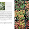 A photo grid showcases Schiffer Publishing, Ltd.’s Sempervivum: a single green rosette with web-like threads on the left, and a grouping in green, yellow, and red tones on the right—ideal for gardening enthusiasts.