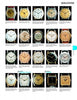 Rolex Wriswatches Non Oyster