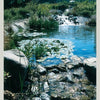 Water Gardens and Natural Pools by Schiffer Publishing, Ltd. showcases stunning garden ponds with lush plants, rocky streams, and tranquil lily pads—an inspiring guide to natural landscape design with beautiful water features.