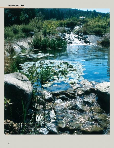 Water Gardens and Natural Pools by Schiffer Publishing, Ltd. showcases stunning garden ponds with lush plants, rocky streams, and tranquil lily pads—an inspiring guide to natural landscape design with beautiful water features.
