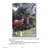 A brown Chincoteague Pony with a white facial stripe stands on grass, tied to a purple lead before tall green trees. Below the photo, text from "The True Story of Sea Feather" by Schiffer Publishing, Ltd. and Chapter Eight in red are visible.