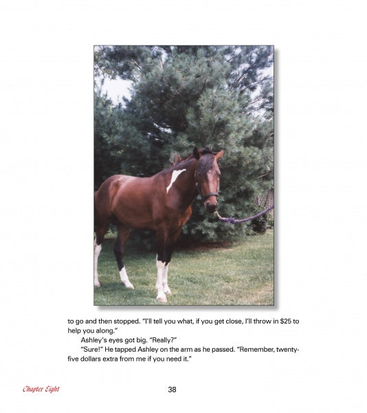 A brown Chincoteague Pony with a white facial stripe stands on grass, tied to a purple lead before tall green trees. Below the photo, text from "The True Story of Sea Feather" by Schiffer Publishing, Ltd. and Chapter Eight in red are visible.