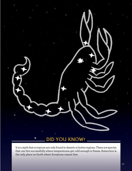 In the Night Sky by Schiffer Publishing, Ltd. features a white scorpion constellation on a starry background with fun facts, like some scorpions surviving extreme cold (except Antarctica)—great for kids interested in constellations and astrology.