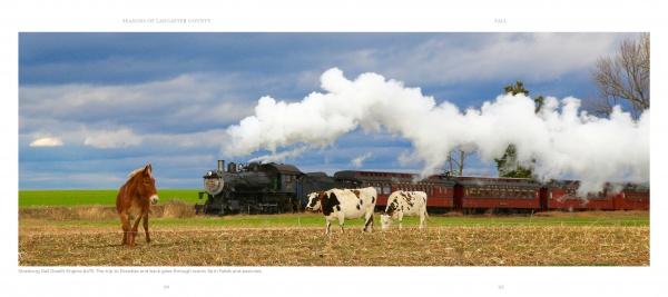 In "Seasons of Lancaster County" by Schiffer Publishing, Ltd., a steam train glides through rural Pennsylvania as two cows and a horse stand in a field under cloudy skies, capturing the timeless Amish charm.