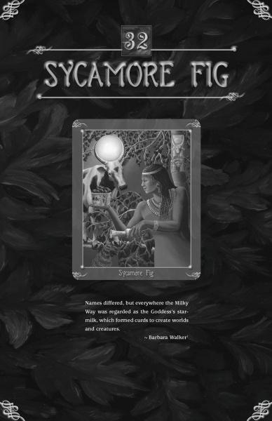 The Green World Oracle by Schiffer Publishing, Ltd. features a grayscale Sycamore Fig card with an Egyptian woman offering a fig to a cow under stars, framed by feathers, card 32 with a Barbara Walker quote—ideal for tree or nature spirit divination.