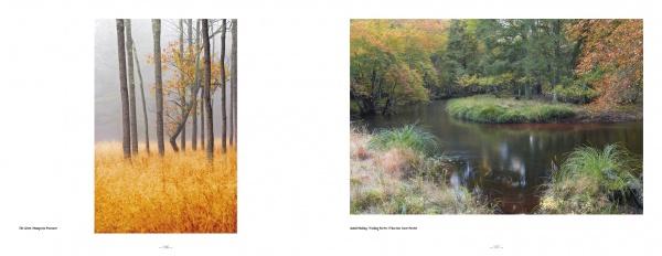 Left: Tall trees with yellow-orange grass in a foggy Pine Barrens forest. Right: A tranquil river winds through vibrant autumn Pinelands, captured in "Pinelands" by Schiffer Publishing, Ltd.—a striking look at New Jersey’s natural beauty.