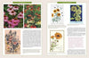 A spread from "The Graphic Flower" by Schiffer Publishing, Ltd. showcases vibrant photos and vintage botanical illustrations of coneflowers, coreopsis, and daisies, complete with captions and descriptive plant text.