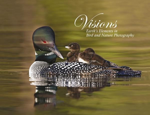 A common loon with two chicks on its back glides over calm water. The background is blurred. Text reads: Visions by Schiffer Publishing, Ltd.—a stunning showcase of bird and nature photography for wildlife enthusiasts.
