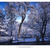 Experience the peaceful beauty of Santa Fe with "Santa Fe Reflections" by Schiffer Publishing, Ltd.—a scene of snow-covered benches, trees, and a historic plaza under a clear blue sky captures the charm of this iconic destination.