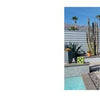 A backyard scene from "Palm Springs Modern Dogs at Home" by Schiffer Publishing, Ltd. showcases modern landscaping, a pool, two red lounge chairs with dogs, tall cacti, and potted plants near a gray fence under a clear sky.