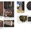 antique mining
