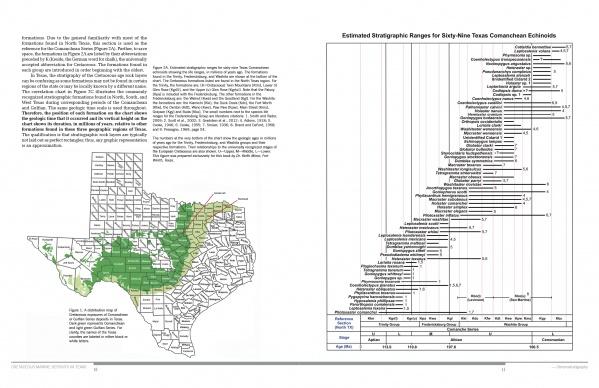 cretaceous echinoids history